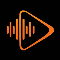 Vibespot icon