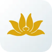 Vietnam Airlines icon