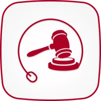 TNAuction icon