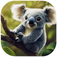 Cute Animals Wallpapers icon