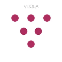 Vijola icon