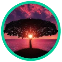 Viral Chop icon