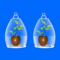 Carbon dioxide is essential fo icon