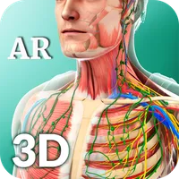 Ar Human Anatomy icon