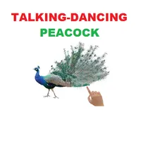 Talking Peacock Dance-Fun icon