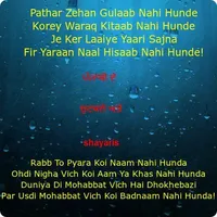 Punjabi shayari and Jokes icon