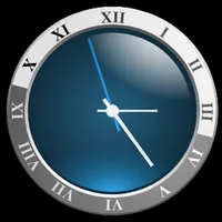 VisualNEO Analog Clock icon