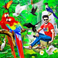 Bird photo editor frames icon