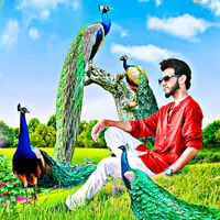 Peacock photo editor frames icon