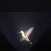 Vyomy 3D Hologram Hummingbird icon