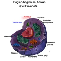 Organisasi Kehidupan icon
