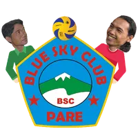 BSC Vollyball icon