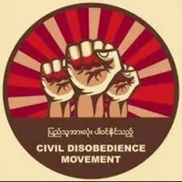 CDM SUPPORT icon