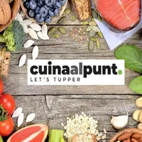 Cuina al Punt icon