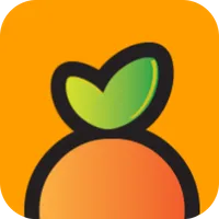 Domi Venezuela icon