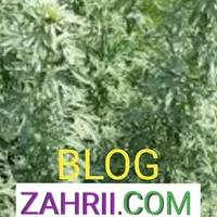 ZAHRII icon