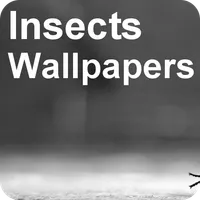 Stunning Insects Wallpapers +  icon