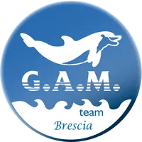 G.A.M. TEAM S.R.L. S.S.D icon