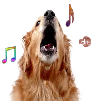 Dog Bark Ringtone icon