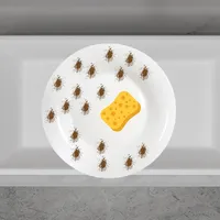 Washing Dishes icon