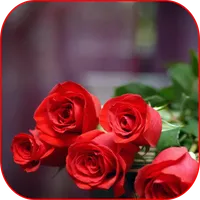 Flowers Stickers for WASticker icon