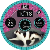 Cat Wheel Watch Face icon