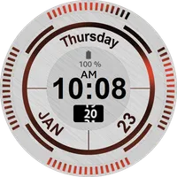 Stainless Steel Watch Face icon