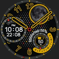 BOROI029 Watchface icon