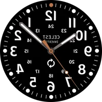 CELEST5405 Mirrored Watch icon