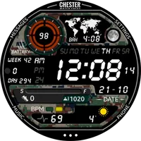 Chester LCD watch face icon