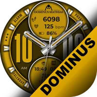 DM | 017 Analog Watch Face icon