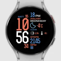 IWF Digital Pro II watch face icon