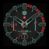 IWF DM1 watchface icon