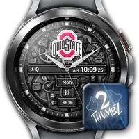 OHIO STATE BUCKEYES GAMEDAY WA icon