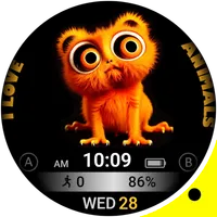 Cat Animal Watch Face VS43 icon