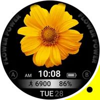 Floral & Flower Power VS44 icon