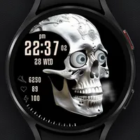 W-Design WOS113 - Watch Face icon