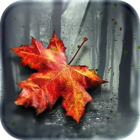 Autumn Wallpaper HD Live Theme icon