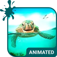 Cute Turtle Wallpaper Theme icon