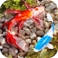 Fish Tank Live Wallpaper icon