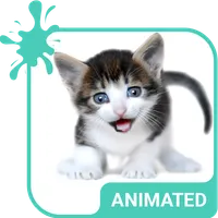 Meow Animated Keyboard + Live  icon