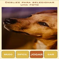 Quebra-Cabeça de Cães icon