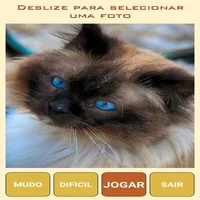 Quebra-Cabeça de Gatos icon