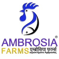 Ambrosia Farms Mandi icon