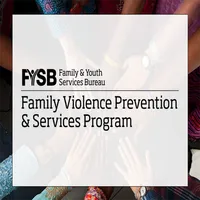 FVPSA Pre-Meeting Institute icon