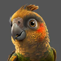 We Love Birds icon