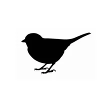 Fuglesafari icon