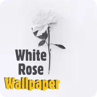 White rose wallpaper icon