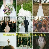 Wedding Marriage Wallpapers icon