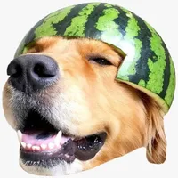 Fruit Animals Stickers icon